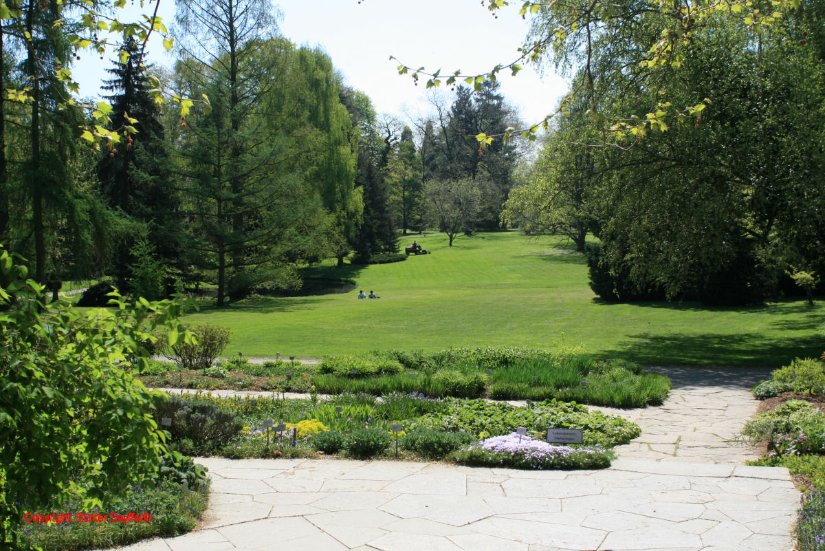 Hohenheim Botanischer Garten 1000 Garten Design Ide